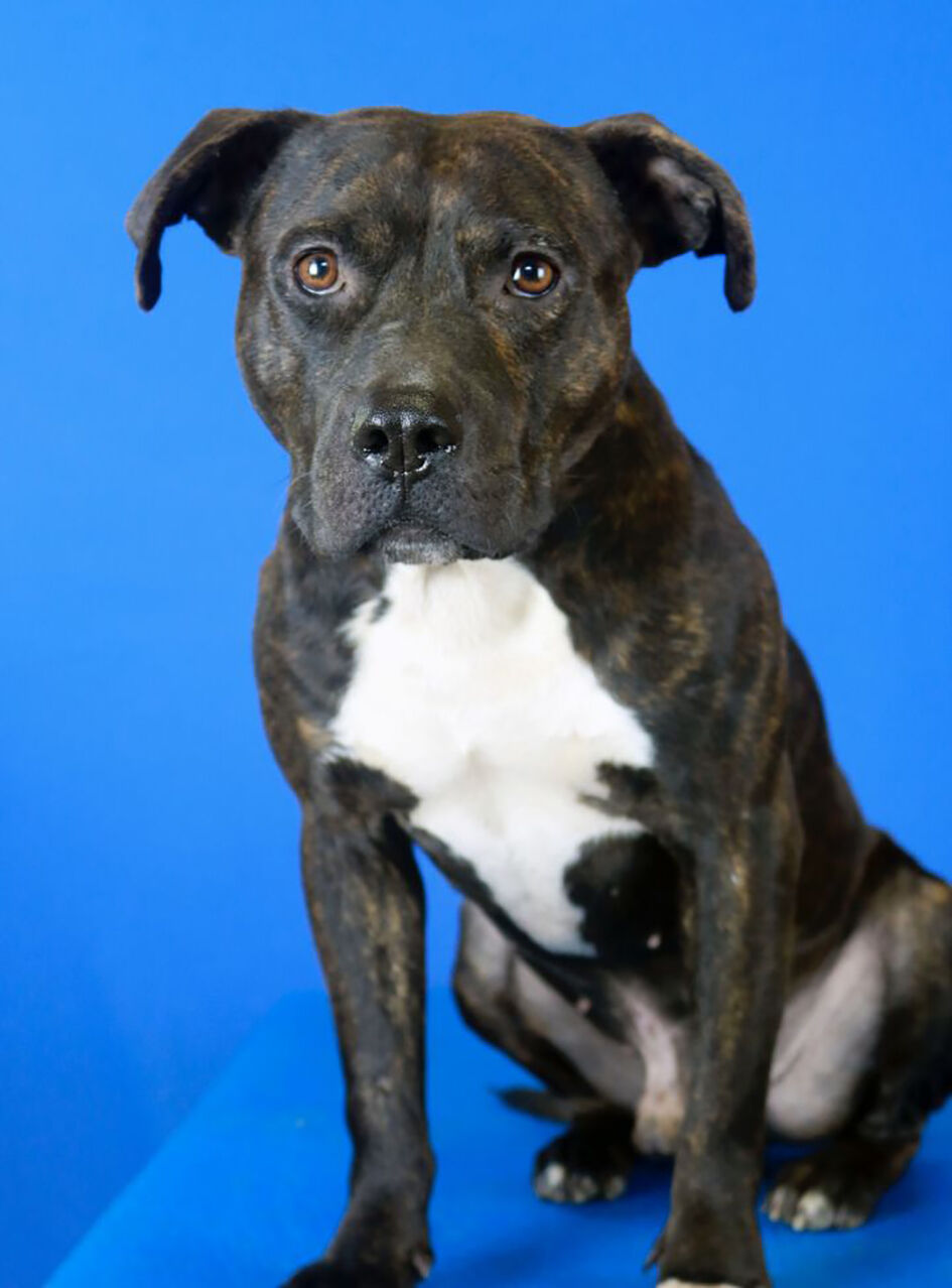 Tyson